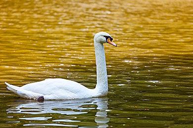 《路易吉洋楼2HD》由开发《黄昏公主HD》的工作室制作