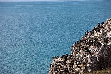 《thanks mom》Steam页面上线 体验婴儿躲避动作